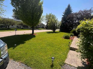 Aranita T.'s Grass Cutting service result