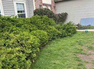Bush Trimming by Leroy Green II for Valerie S. in Reynoldsburg, OH