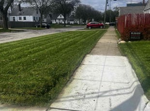 Kevin K.'s Yard Cutting service result