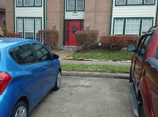 Bush Trimming by Linda Jones for Margaret S. in Houston, TX