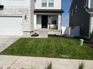 Kiandrea G.'s Lawn Care service result
