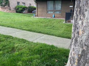 Aaron B.'s Lawn Mowing service result
