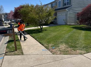 Stephanie Z.'s Lawn Mowing service result