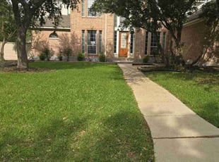 Jacy P.'s Lawn Care service result