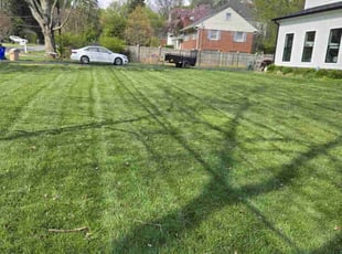 Carlye H.'s Grass Cutting service result