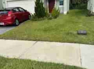 JOAN S.'s Lawn Mowing service result