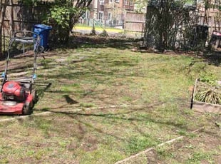Cleanups by Allan Roberts for Kathleen G. in Washington, DC
