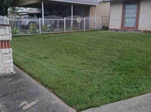 Robert W.'s Yard Cutting service result