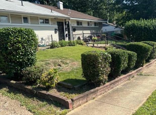 Bush Trimming by Pablo Reyes for Olivia F. in Greater Landover, MD