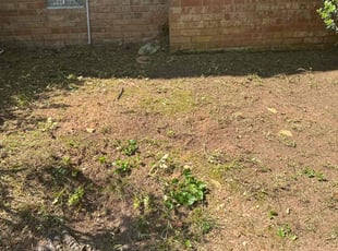 Weeding by Joshua Coonradt for Harold F. in Raleigh, NC