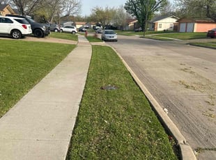 Ashley W.'s Lawn Maintenance service result
