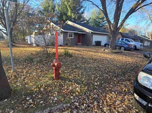 Leaf Removal by Gilles Nguimatsa for Chris S. in Shoreview, MN