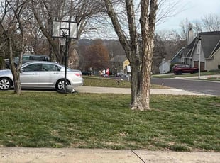 Leaf Removal by Scott Culala for Rodolfo S. in Overland Park, KS