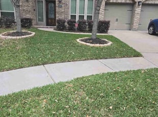 Kathy c.'s Lawn Care service result