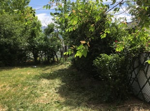 Bush Trimming by Shawn Davis for Brayden K. in Murray, UT