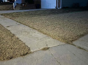 Rob W.'s Lawn Mowing service result