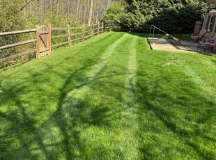 Quita S.'s Lawn Service service result