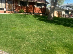 Thurman M.'s Lawn Care service result