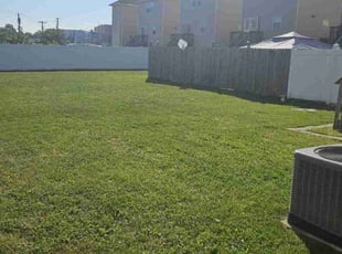 Xena K.'s Lawn Care service result