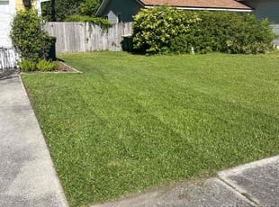 Jenn M.'s Lawn Service service result