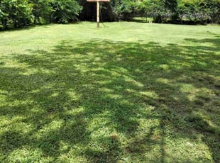 Rhys P.'s Lawn Mowing Service service result