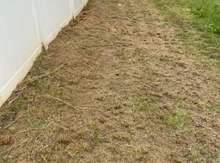 Landscaping by Clinton Dunn for Amr A. in Rock Hill, SC