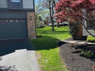 Bryan V.'s Lawn Care service result