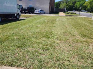 Sandra P.'s Lawn Mowing service result