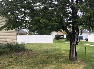 Bush Trimming by Shawn Beardall for Shelley B. in Spanish Fork, UT