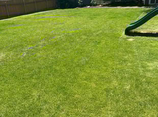 Liz C.'s Lawn Mowing Service service result