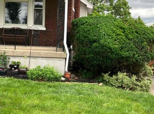 Bush Trimming by Tyler Deloach for Cindy D. in Cincinnati, OH