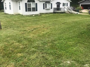 Bush Trimming by Ernest Beckett for Sydney B. in Lorain, OH