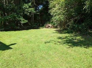 Chunte B.'s Lawn Mowing service result