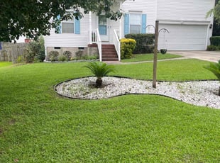 Carlos S.'s Lawn Service service result