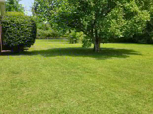 Patsy M.'s Yard Cutting service result
