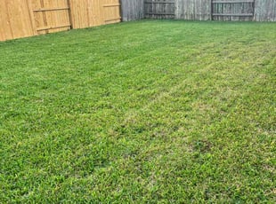 Mike B.'s Lawn Service service result