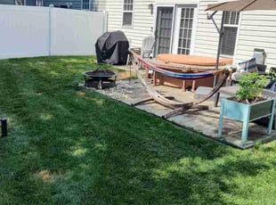 Dottie S.'s Yard Cutting service result