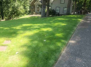 robert l.'s Lawn Mowing Service service result