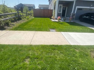Sally G.'s Lawn Mowing service result