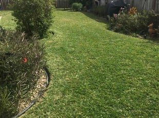 Hung N.'s Lawn Care service result