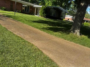 Deborah E.'s Lawn Maintenance service result