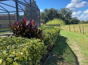 Bush Trimming by Elvin Aponte for Adrian B. in Kissimmee, FL