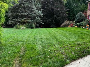 Sandra B.'s Lawn Care service result