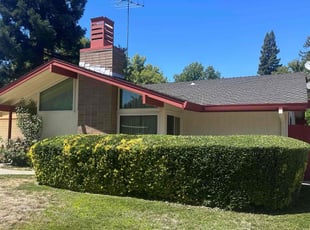 Bush Trimming by Diego Mojica for Ruth L. in Sacramento, CA