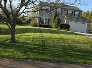 Remy W.'s Lawn Mowing service result