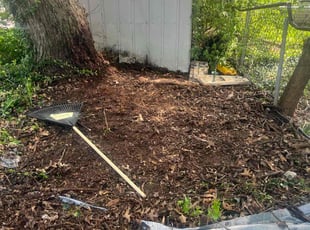 Cleanups by Tyree C Jackson for Christina G. in Cincinnati, OH