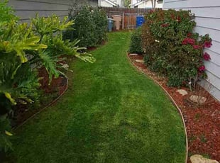 Lori D.'s Lawn Mowing service result