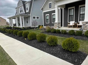 Maura J.'s Lawn Care service result