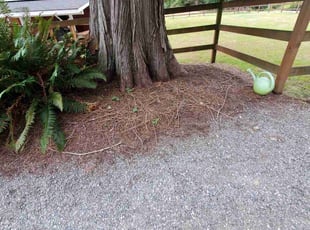Cleanups by Coben Varland for Leslie D. in Redmond, WA