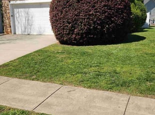 Zachary S.'s Lawn Mowing service result